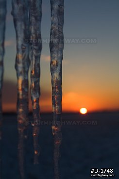 Close-up vertical of icicles with the setting sun after an ice storm