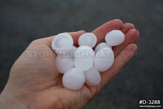 Smooth quarter-sized hail stones in rural Illinois