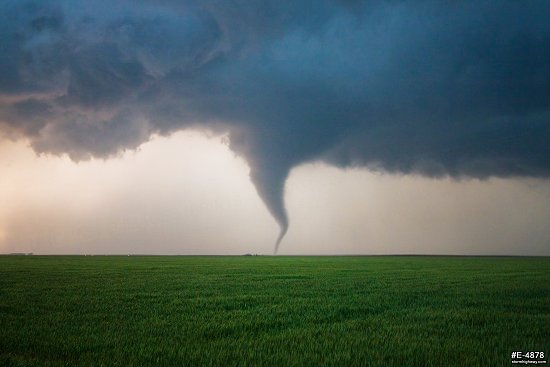 Graceful tornado over Kansas wheat fields