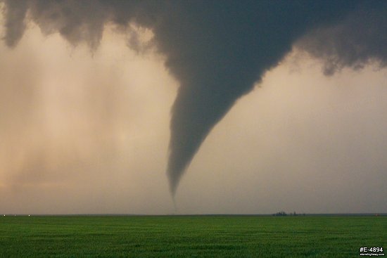 Cone tornado over wheat fields II
