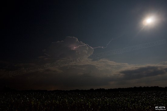 A small but spectacular thunderstorm sends a lightning bolt miles into clear air under the 'thunder moon' over Bartelso, Illinois