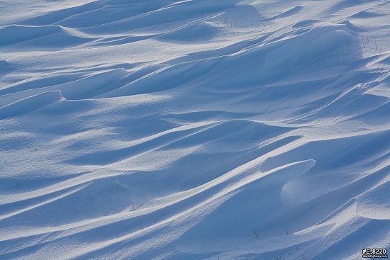 CATEGORY: Drifting Snow Patterns