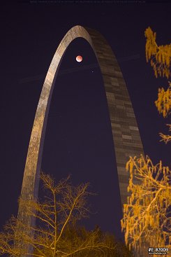 Lunar eclipse (blood moon) with trees