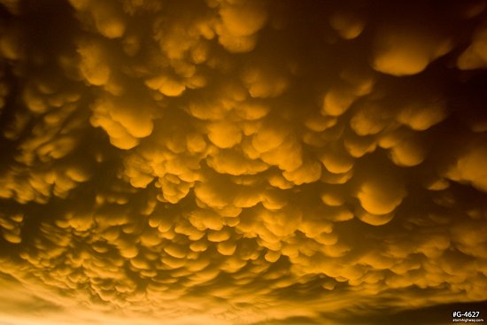 Sunset mammatus clouds over Dodge City, Kansas