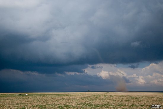 Landspout tornado near Seibert, Colorado
