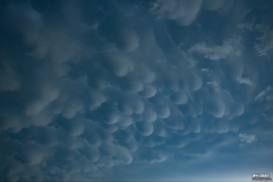 Nebraska mammatus clouds