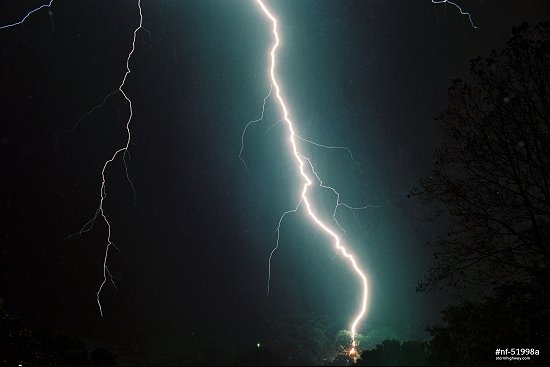 Close lightning striking a tree