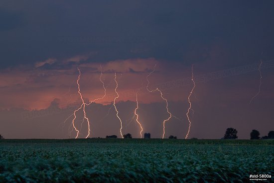 Lightning at dusk over a farm on the Illinois prairie